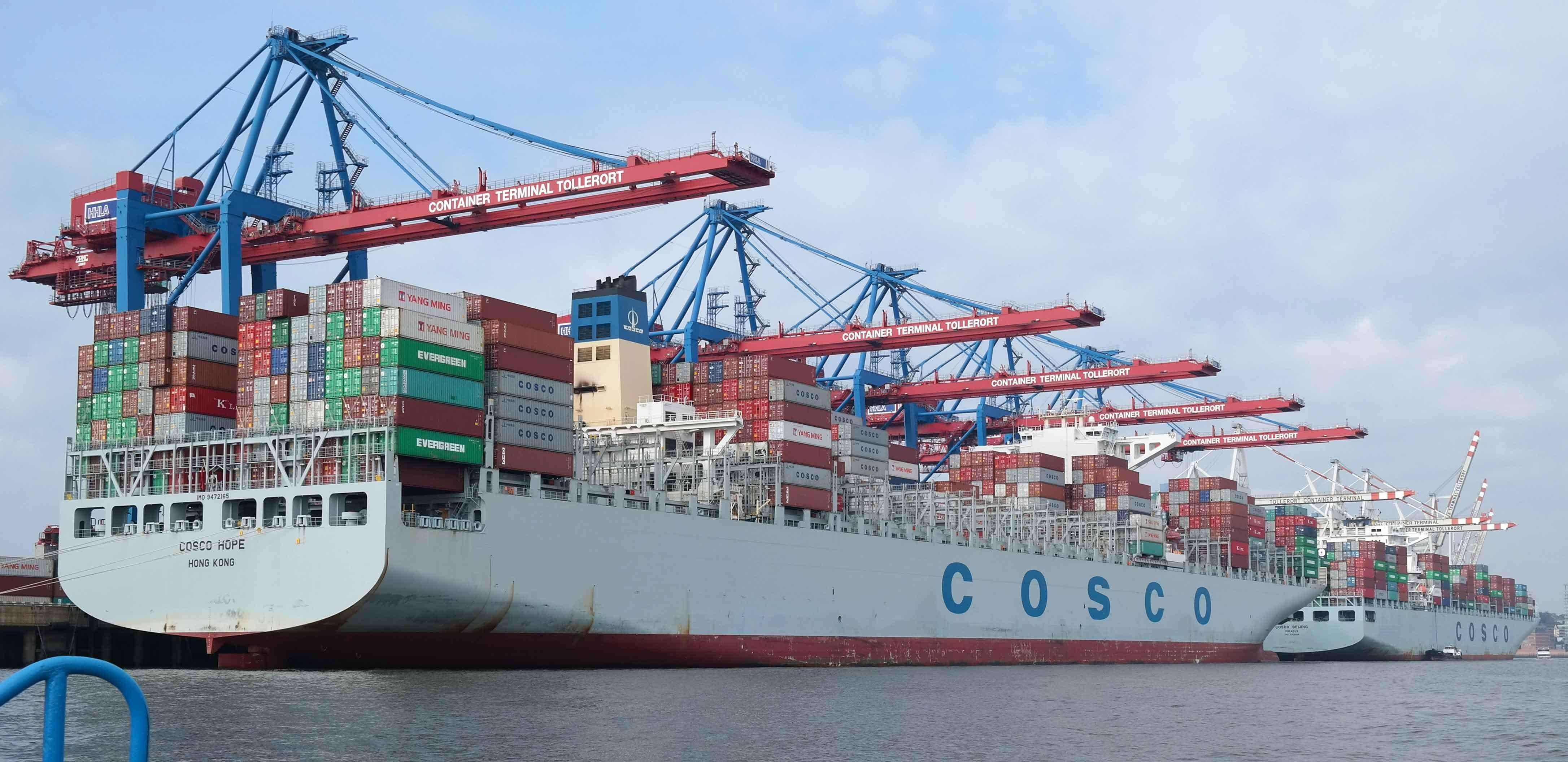 美森 VS COSCO 海運時效差在哪？